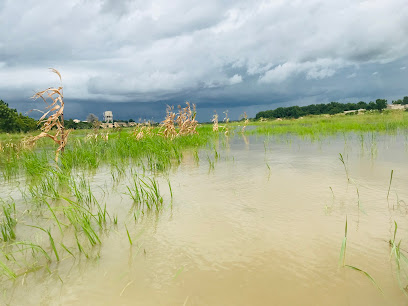 303 Housing Estate estate near 202 Housing Estate - 0.9km away