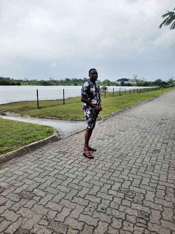 Adiva Estate estate view 2 - property in Lagos