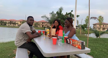 Beechwood Estate estate view 2 - property in Lagos