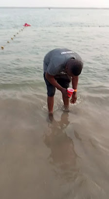 Fisher Estate estate view 2 - property in Lagos