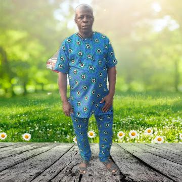 Mojisola Onikoyi Estate estate view 2 - property in Lagos