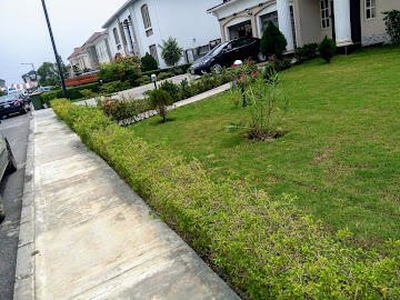 Nicon Town Estate estate view 2 - property in Lagos