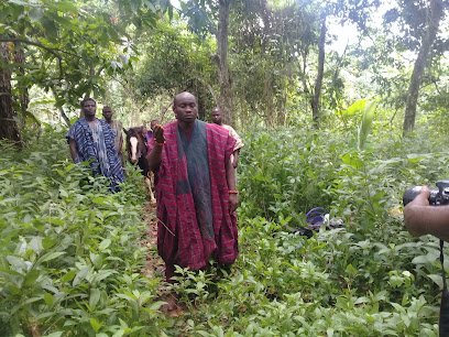 Oakwood Park Estate Phase 2