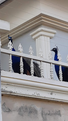 Orji Estate estate near Zone C Labour Housing Estate Tumfure - 3.7km away