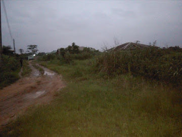 Punch Estate estate view 2 - property in Lagos