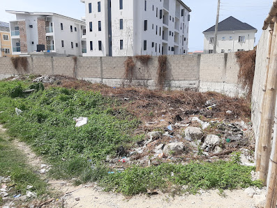 Romay Gardens Estate estate view 3 - property in Lagos
